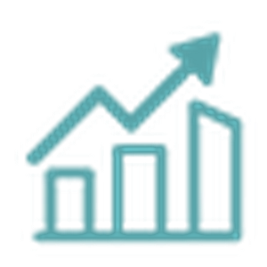 Developer