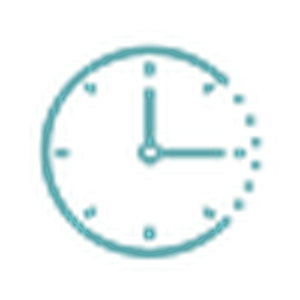 Developer