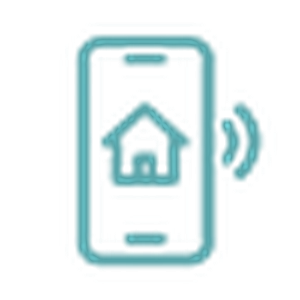 Developer