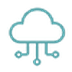 Developer