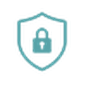 Developer